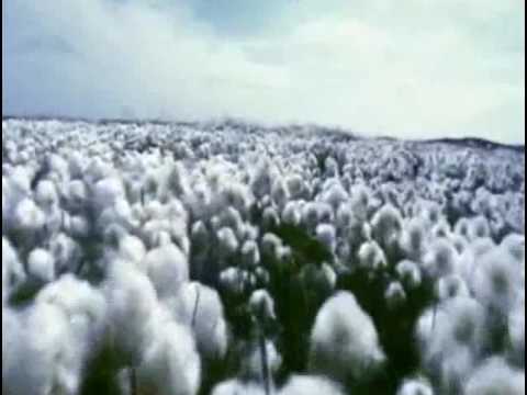 Видео: Совершенный Бог.