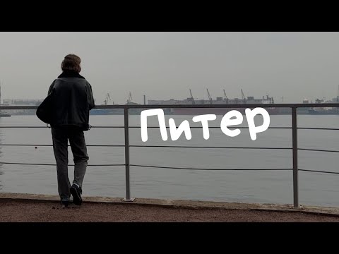 Видео: влог / первая неделя в Питере / съемки рилс / Севкабель порт / забронировала собаку