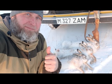 Видео: Охота на зайца-русака. ,, Три трофея !!! ,,