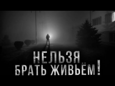 Видео: КУЙВА. Страшные истории. Страшилки на ночь. Жуть из СССР