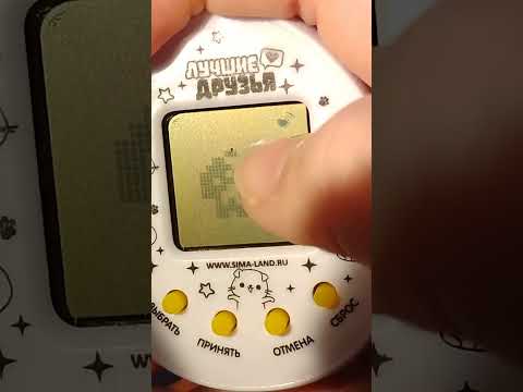 Видео: КАК ИГРАТЬ В ТАМАГОЧИ? легко и просто ответите вы,когда посмотрите