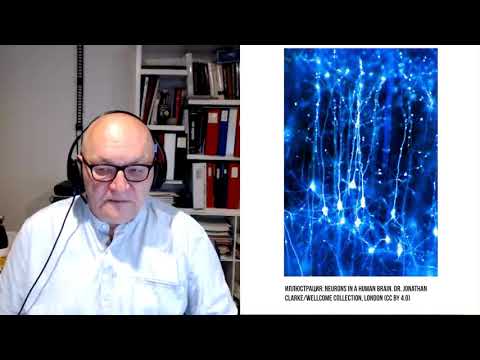 Видео: Ю.П. Данилов. Разговоры о физиологии. Выпуск Y-IV: Нейропластичность