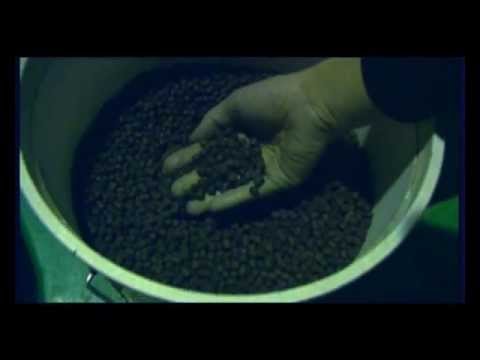 Видео: Промышленное рыбоводство в Республике Коми