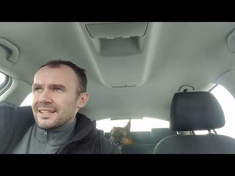 Видео: Мнение толпы = мнению обоссаного бомжа