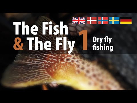 Видео: Рыба и муха 1 — Сухая муха