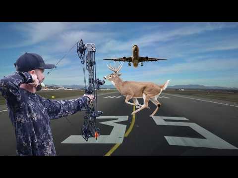 Видео: Мы подстрелили огромную тушу в аэропорту!