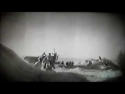 Видео: Уйгурский район  ЧУНДЖА