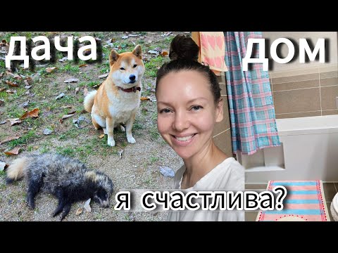 Видео: Тоёка охотник и новинки для ванной комнаты / KOREA VLOG