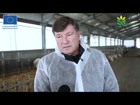 Видео: Ден на отворените врати: Био овцеферма в Долни Дъбник