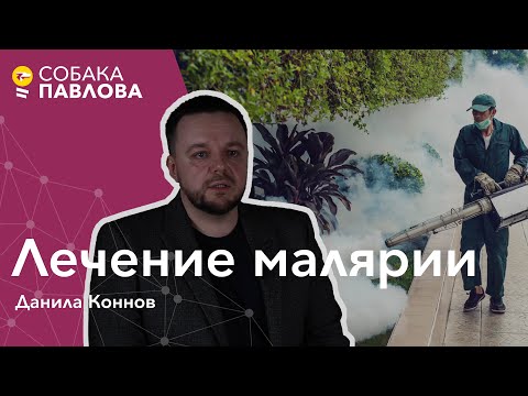 Видео: Лечение и профилактика малярии - Данила Коннов // москитные сетки, мефлохин, аэропортная малярия