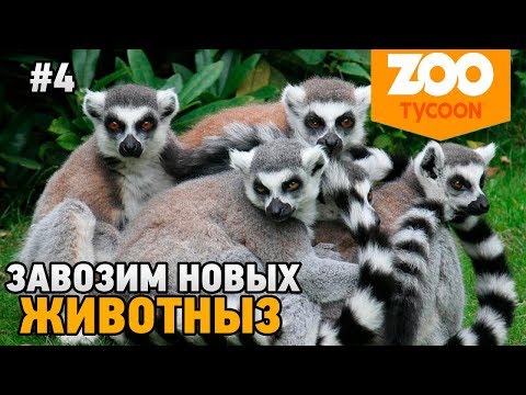 Видео: Zoo Tycoon: Ultimate Animal Collection #4 Завозим новых животных