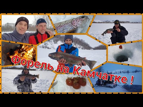 Видео: Зимняя рыбалка на Камчатке. Ловим дикую форель (микижу)