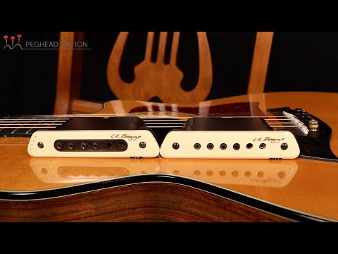 Видео: Демонстрация звукоснимателей L.R. Baggs M1 Active и M80 для акустической гитары от Peghead Nation