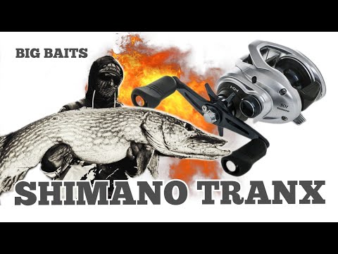 Видео: SHIMANO TRANX 301A. Мульт який мене здивував! Шнур BERKLEY tracer braid.Big baits