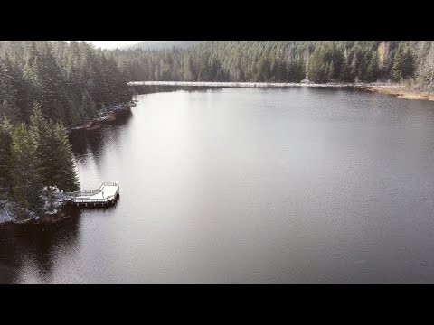 Видео: Говори Со Мноӣ - Авана