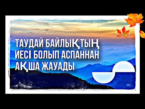 Видео: Байлығы тасыған құрметі асқан адам боласыз