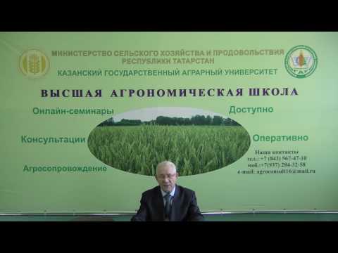 Видео: Органические удобрения.