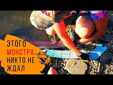 Видео: ПОПЛА ПОППЕР косит рыбу! Форелевая рыбалка ультралайт на платнике в Германии
