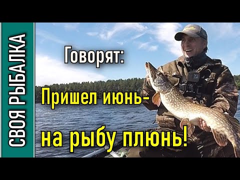 Видео: Ловля крупного судака и щуки на джиг летом. Волга, Белый Городок.