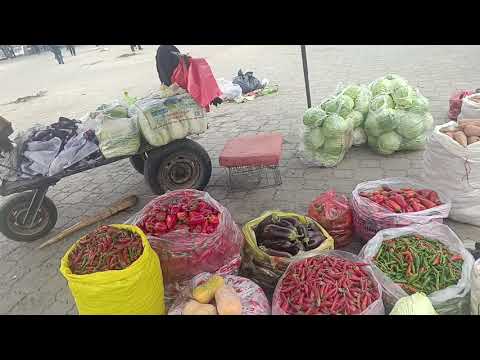 Видео: Шаҳри Хуҷанд бозори Панҷшанбе 28 октябри соли 2025