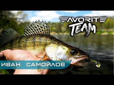 Видео: Ловля судака на воблеры и джиг с Favorite Black Swan. Рыбалка на Южном Буге. Favorite Team