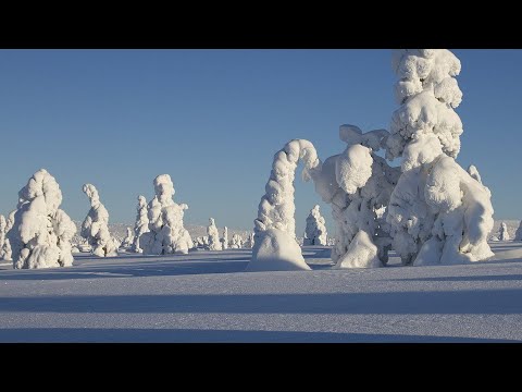 Видео: Ошо - Утренние медитации, 13. Дело не в том, как попасть на небеса, озвучивает Nikosho.