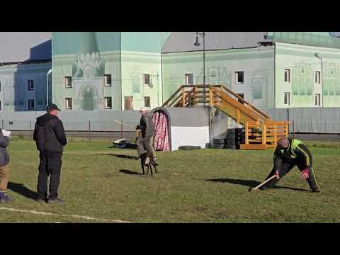 Видео: Большой Русский Ринг Пушкин 18.10.2025 группа А участник 2 часть 2