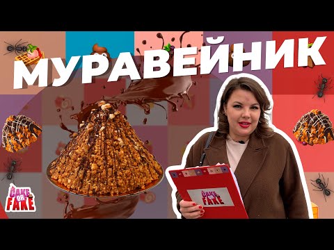 Видео: Вашурина прячет дырку или в поисках муравейника в Москве