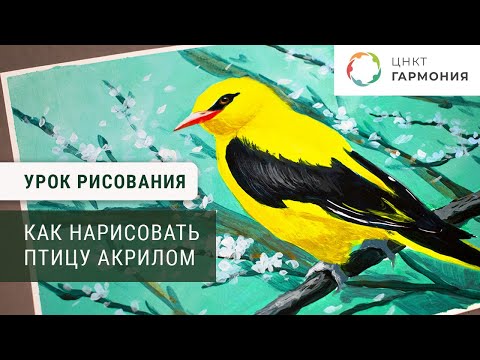 Видео: Как нарисовать птицу акриловыми красками | ИЗОстудия "Северное сияние"