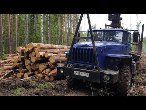 Видео: Подъем по лежневке. (Урал лесовоз)