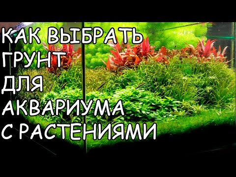 Видео: КАК ВЫБРАТЬ ГРУНТ ДЛЯ АКВАРИУМА С РАСТЕНИЯМИ