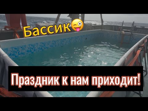 Видео: Праздничная пицца… не специально, так получилось;)