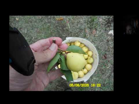 Видео: Секреты создания лучшего сада. 2 выпуск