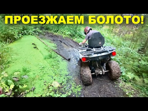 Видео: В БОЛОТО на 200 и 300 кубовых КВАДРОЦИКЛАХ