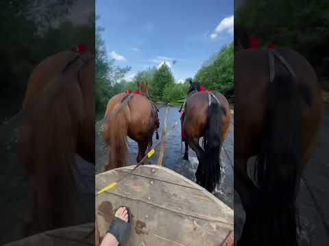 Видео: +380 (68) 669 06 84 всі деталі за номером телефону