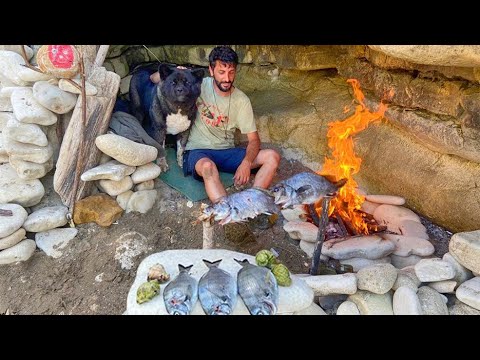 Видео: 3 ДНЯ одиночного выживания (БЕЗ ЕДЫ, БЕЗ ВОДЫ, БЕЗ ДОМА) Catch and Cook, Fishing - Bushcraft Camping