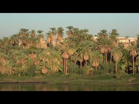 Видео: КРУИЗНЫЙ ЕГИПЕТ - КРУИЗ ПО НИЛУ.  CRUISE EGYPT - CRUISE ON NILE.