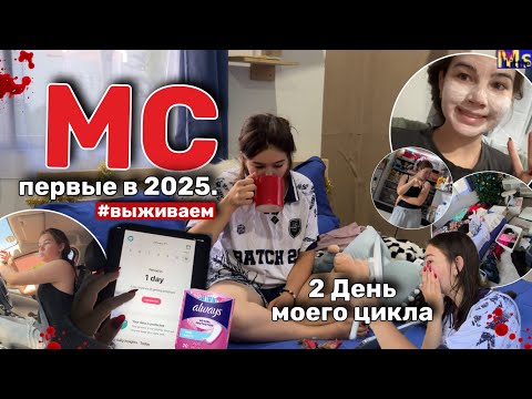 Видео: МС ВЛОГ🌝красное начало года || мой цикл, переедания || ЯНВАРЬ 2025