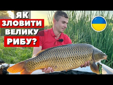 Видео: Змагання на Трофейні Долині, Сталкер з флет фідеру!