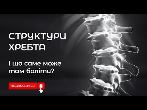 Видео: Що болить у хребті? #більвспині