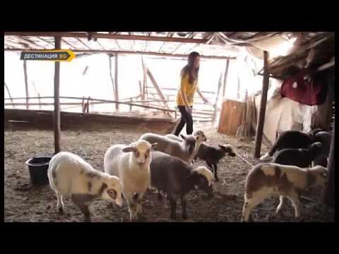 Видео: БОЖИ ДАР - документален филм, част 2/2