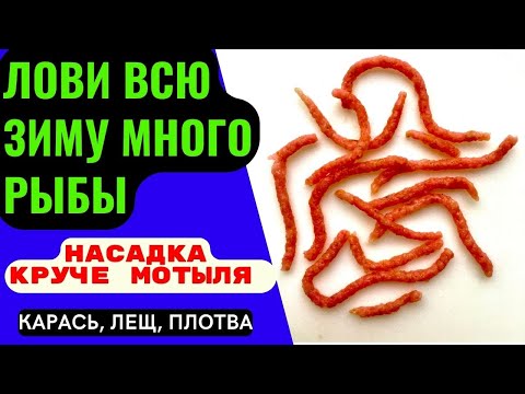 Видео: Насадка для рыбалки на КАРАСЯ, ЛЕЩА, ПЛОТВУ. ЗАМЕНИТ МОТЫЛЯ,  обеспечит клёв на всю зиму.