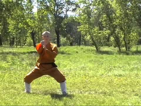Видео: Шаолиньское кунфу: «18 рук Архатов»