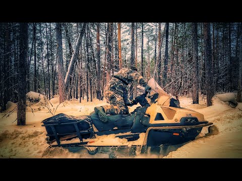 Видео: Ищу Валежник для строительства Бани в Лесу.