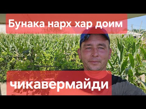 Видео: СОТИЛДИ 🤝🤝🤝🤝🤝🤝🤝🤝🤝🤝🤝🤝🤝🤝🤝