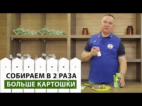 Видео: Надежная защита картофеля от болезней и вредителей! Чем обработать картофель перед посадкой?