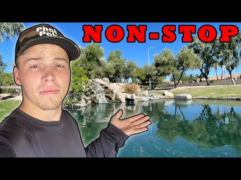 Видео: В этом городском водопаде было СЛИШКОМ МНОГО рыбы...