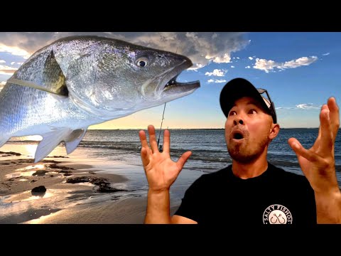 Видео: В погоне за гигантской рыбой с большими приманками 🎣