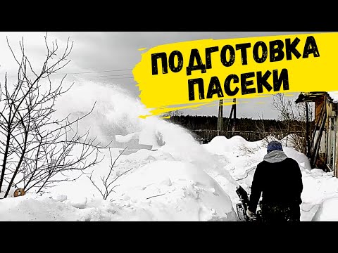 Видео: Подготовка ПАСЕКИ к новому СЕЗОНУ. Чистим Пасеку от Снега || 2021 #32