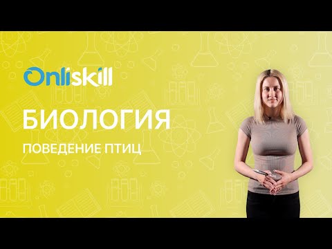 Видео: БИОЛОГИЯ 7 класс: Поведение птиц | Короткий видеоурок